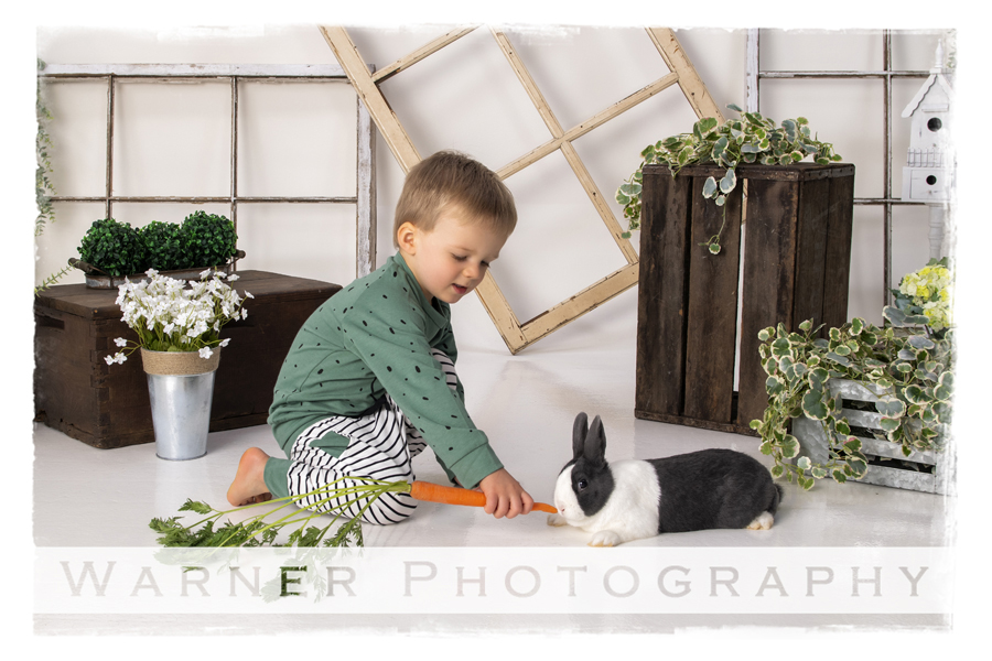 a portrait of Owen in the studio with bunnies for Easter