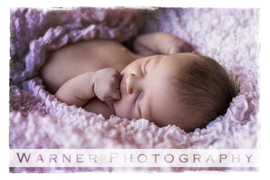 A studio portrait of Aalyia for her newborn session at the Warner Photography Studio
